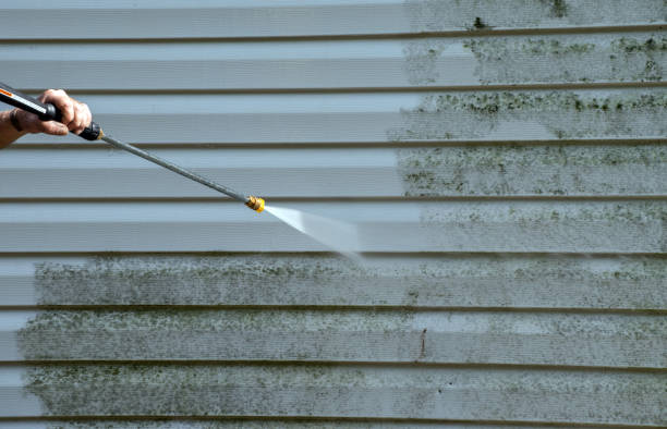 Office Mold Removal Services in Borden, IN